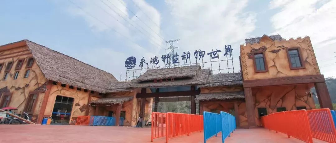 福建永鸿野生动物世界开园倒计时!福清宝贝们暑假又一