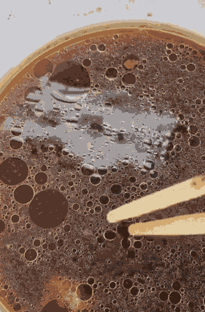 春天到了万物复苏的季节 每日轻松一刻3月24日周末版