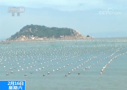 农业农村部:水产养殖生态优先 不搞一刀切