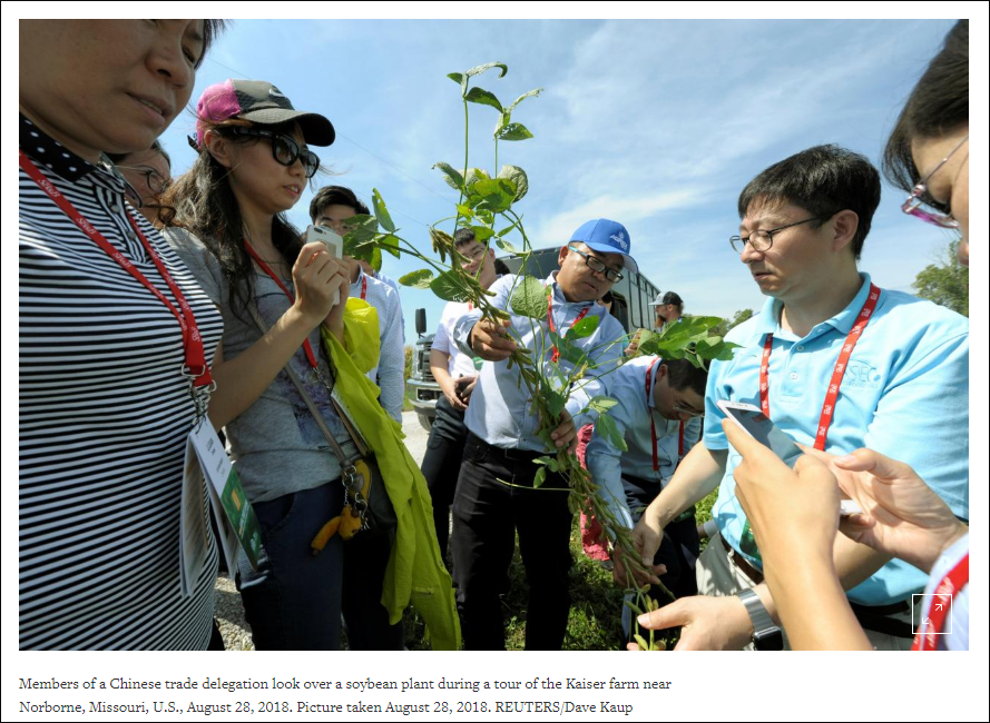 上月，中国大豆进口商代表团参观美农场（图自路透社）