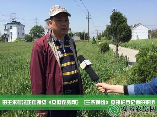 茂施麦坚强的探寻记|在嘉兴平湖，寻找掩不住的勃勃生机！【安徽农资网】
