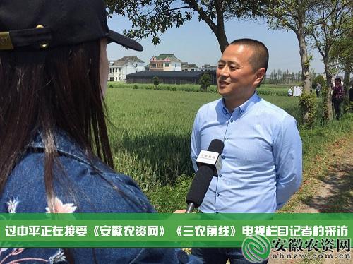 茂施麦坚强的探寻记|在嘉兴平湖，寻找掩不住的勃勃生机！【安徽农资网】