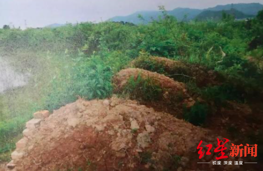 两兄弟伪造16座坟墓骗补6万多元 双双获刑被罚款