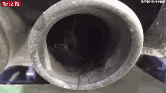 汽车排气管出现大量