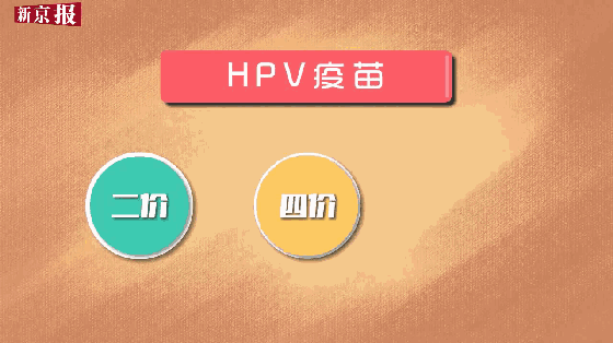 最快年底上市！二价、四价、九价HPV疫苗…到底接种哪个？