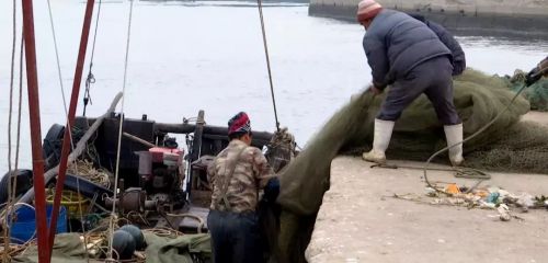 基本靠风?快手上最爆的海鲜网红是这样做的