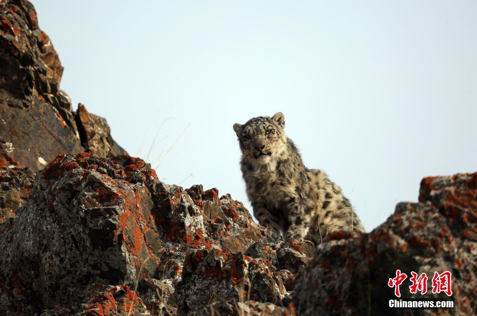 Historical Review: Classic Moments We Watched None Together