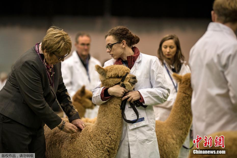 简析食品检测体系中存在的问题及对策