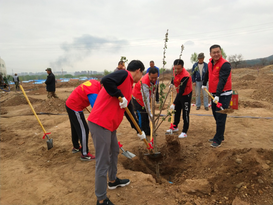 呼和浩特碧桂园绿动青城 悦享美好植树活动