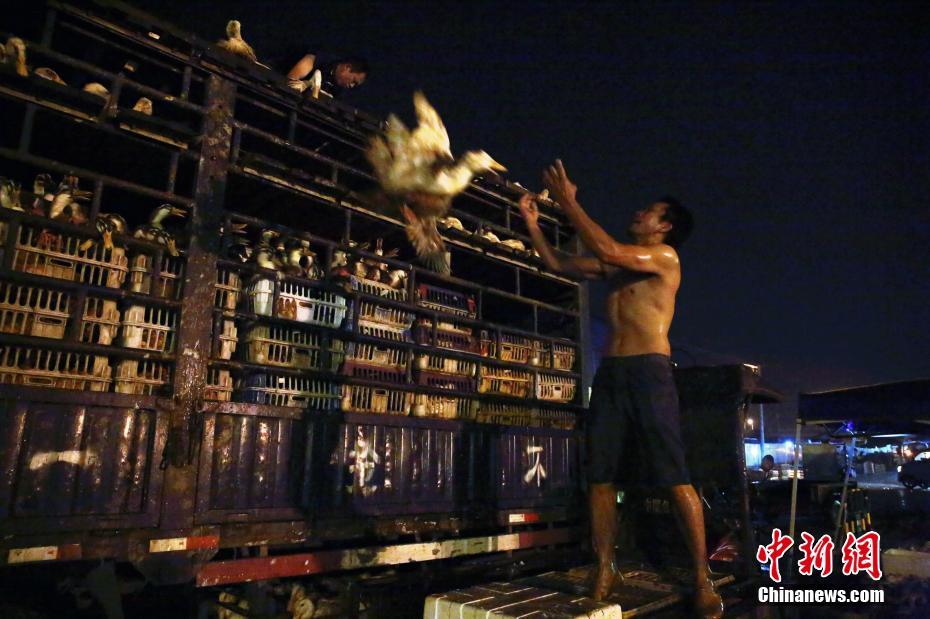 麒麟和貔貅是谁的儿子