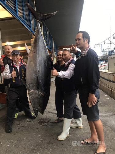 臺灣漁船14日捕獲一條重達210公斤的黑鮪魚。(圖:臺灣“中央社”/蘇澳區漁會 提供)