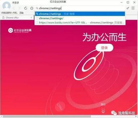 号称站在巨人肩膀上的红芯浏览器 创始人履历造假