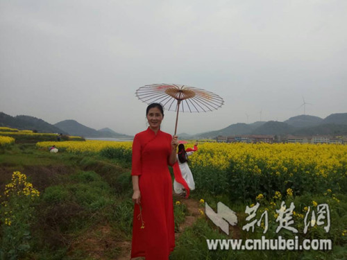 武穴市大力推进乡村振兴 规划将326个行政村合