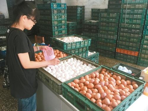 资料图:图片来源:台湾联合新闻网