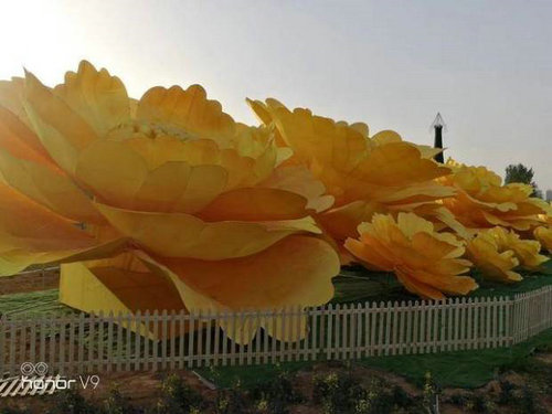 洛阳一景点被曝牡丹鲜花变塑料 回应：为效果好看