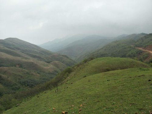 通道大南山旅游主通道全线贯通 红色、绿色交