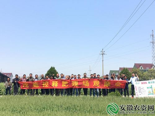 茂施麦坚强的探寻记|在嘉兴平湖，寻找掩不住的勃勃生机！【安徽农资网】