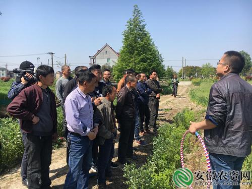 茂施麦坚强的探寻记|在嘉兴平湖，寻找掩不住的勃勃生机！【安徽农资网】