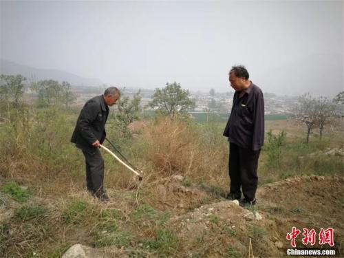 贾文其（右）和村民刘有才（左）等4位孤寡老人一起合作种树。李晓伟 摄