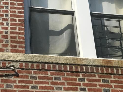 匪徒从一楼阳台爬入，割破纱窗，进入江女士家中。（图片来源：美国《世界日报》记者 牟兰 摄）