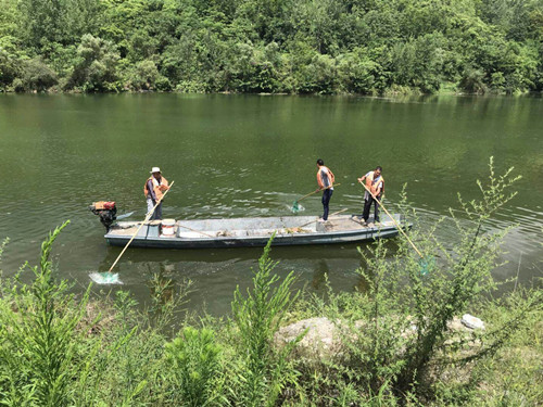 蓬江人口_阿蓬江图片(3)