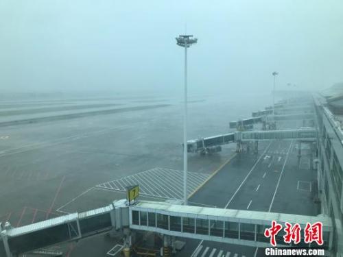 7月11日,受台风“玛莉亚”影响,福州机场167个航班取消。 李拯 摄
