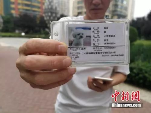 一位养狗民众给记者看自己为爱犬办理的证件。 刘欢 摄