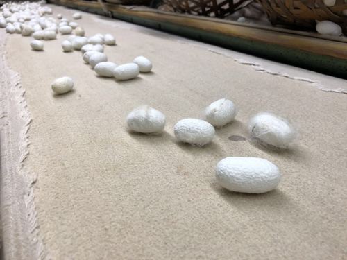 穿越千年，看“鎏金铜蚕”如何在这个县“流金”