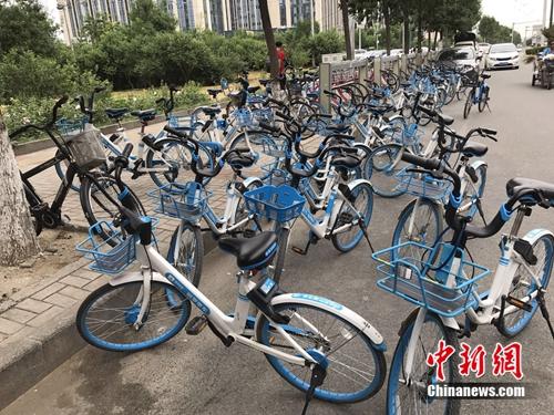 8月份，北京郊区某地突然出现大批的共享单车。中新网 吴涛 摄