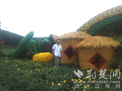 麻城首届中国农民丰收节启幕 冲天菊香透麻城