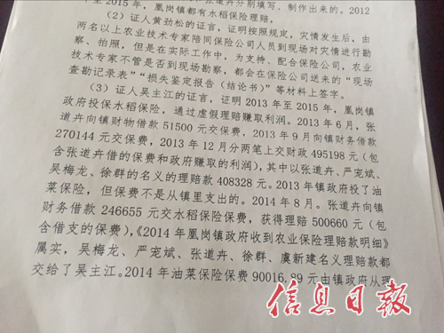 吴主江以证人身份出具证言:凰岗镇政府投保水稻保险,通过虚假理赔赚取利润。