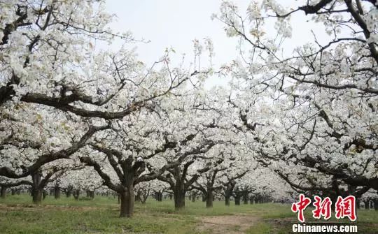 古人10句家风名言:忠厚传家久,诗书继世长
