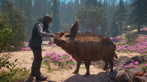 比巫师3还良心?这款游戏的资料片比本体还好?steam好评率86%