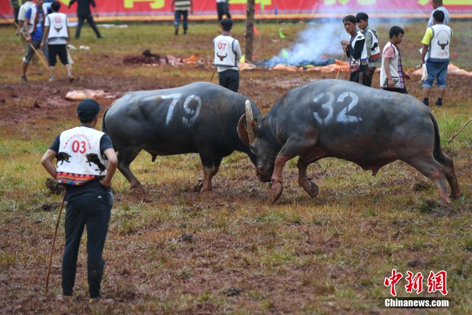 19周2023年武汉代怀价格表双顶径多少正常