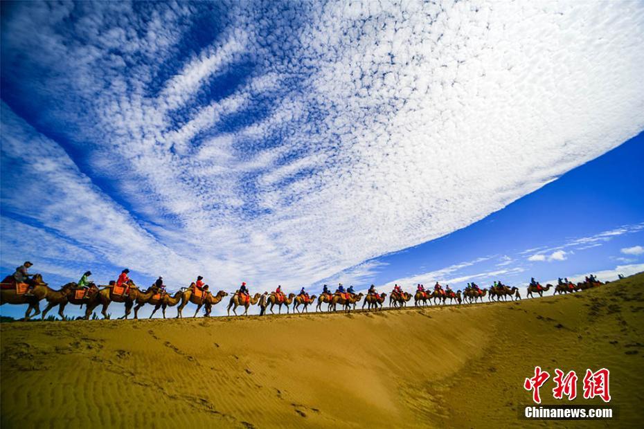 画下梦境 乘着风去旅行