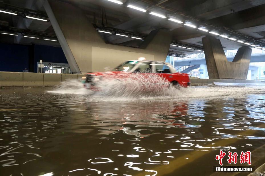 香港最快开奖视频