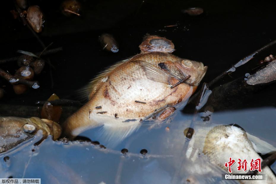 12强赛前瞻：重压下，国足力拼首胜