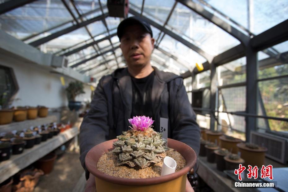 皇马：阿扎尔成功接受手术