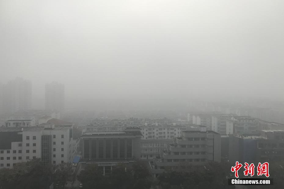 50天验血女孩55天验血男孩准不准 合法吗?