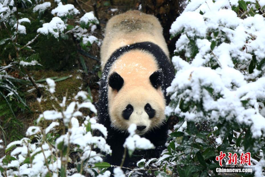 艺术滋养心灵美，文化瑰宝共传承