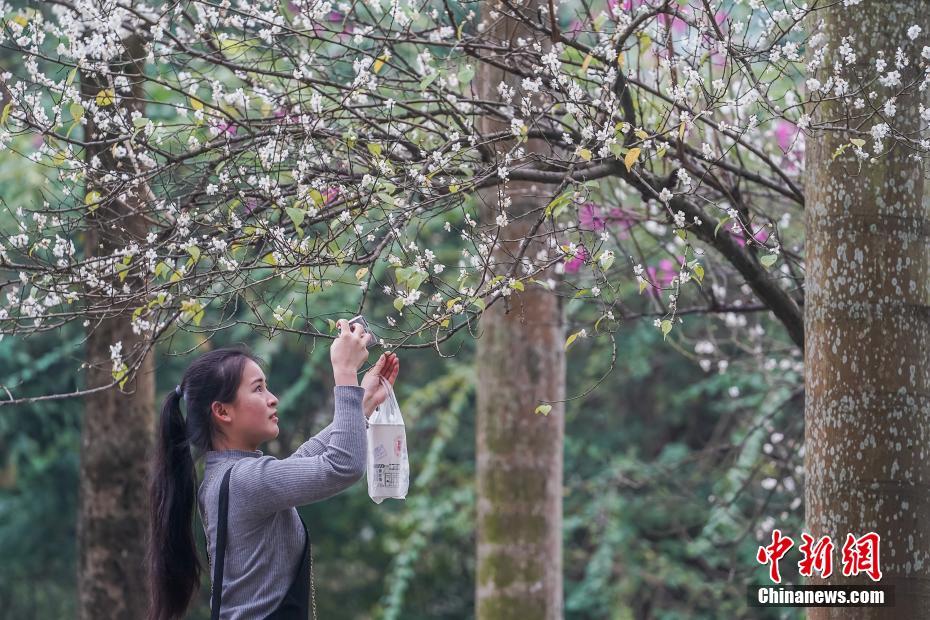 高考15分爸爸教四岁女儿学数学