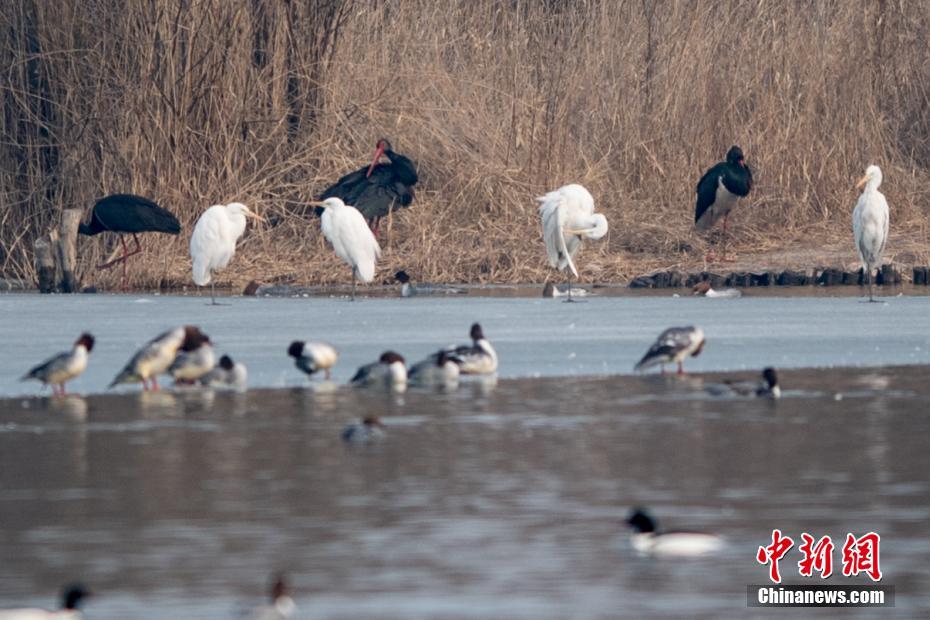 引領數位娛樂新浪潮：One 娛樂，打造專屬於你的極致感官盛宴與財富殿堂 