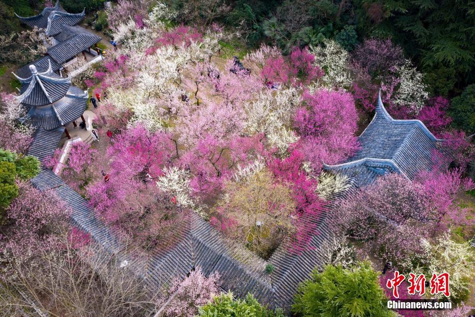 未婚在北京可以做试管婴儿在北京做试管婴儿给大家推荐以下几家