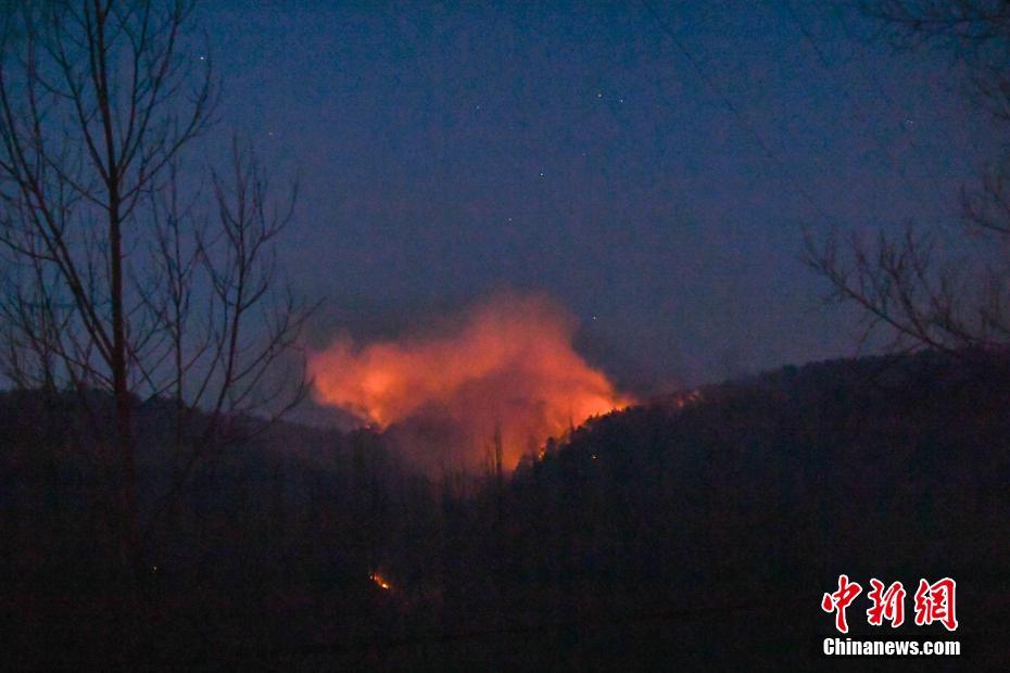 阿迪达斯亚太区及大中华区新总部上海揭幕