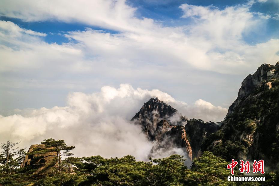 小儿抗病毒感冒药十大排行榜，前三个买的人很多