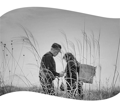 《四个春天》戳中我们对父母的愧疚