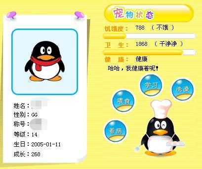 qq宠物为什么会被关闭  第1张