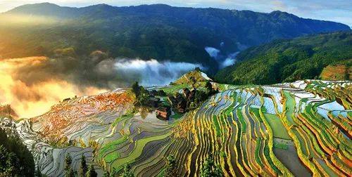 关注 | 厉害咯!2017年贵州植被生态质量及改善