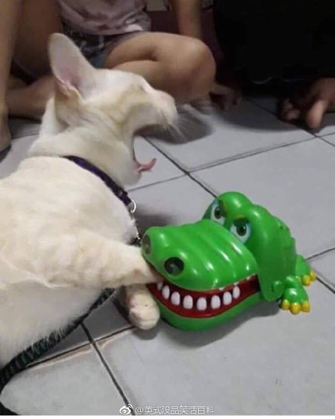 假扮医生就为了一顿饭? 每日轻松一刻3月10日周末版