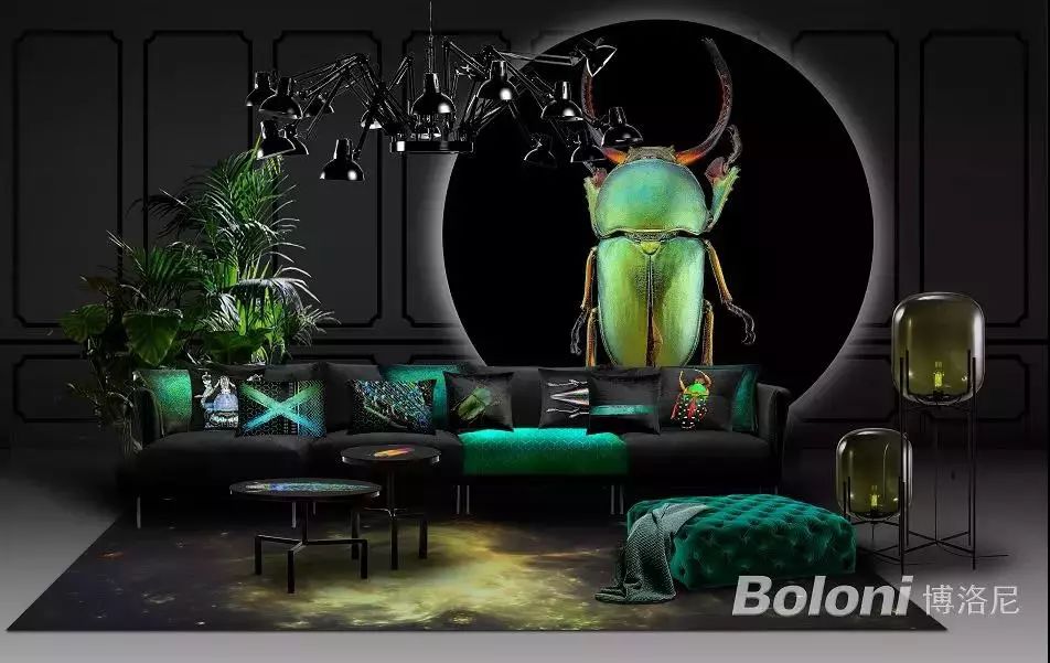Boloni博洛尼×孟鹭:发布跨界艺术家居产品,一